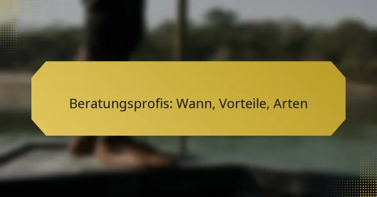 Beratungsprofis: Wann, Vorteile, Arten